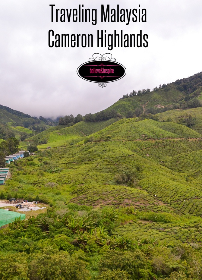 Traveling Malaysia – Cameron Highlands