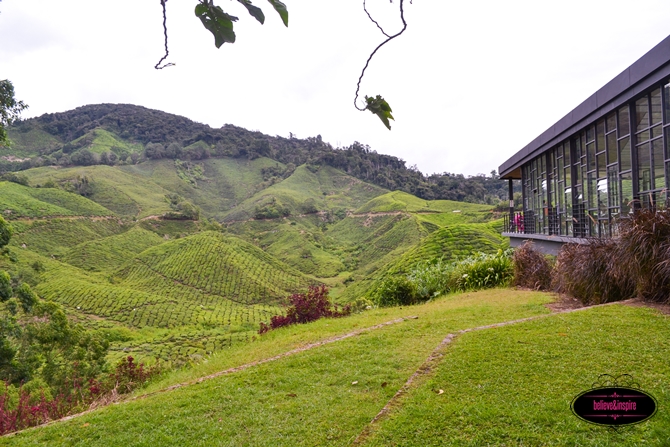 Traveling Malaysia - Cameron Highlands Boh Tea Farm - Sew ...