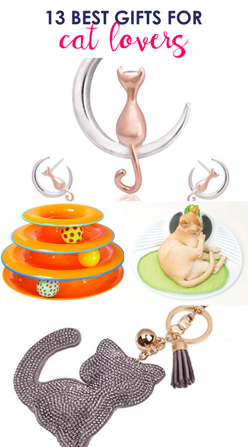 Check out this list of gifts for cat owners they will absolutely LOVE! | cat themed gifts | presents for cat lovers | cat gifts for her | unique gifts for cat lovers | cat related gifts|